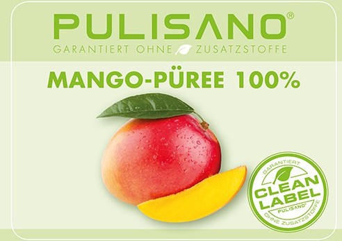 Mangopüree / Fruchtpüree 100% Mango Alphonso 3,1kg