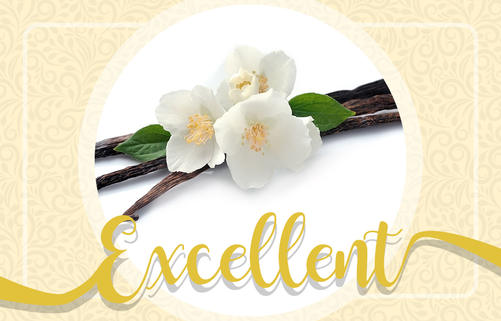 LaE Excellent Milchshake Sirup Vanille