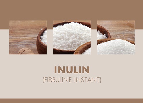 Inulin (Fibruline Instant) 20kg