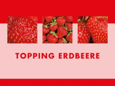 LaE Excellent Topping Erdbeer 7 kg