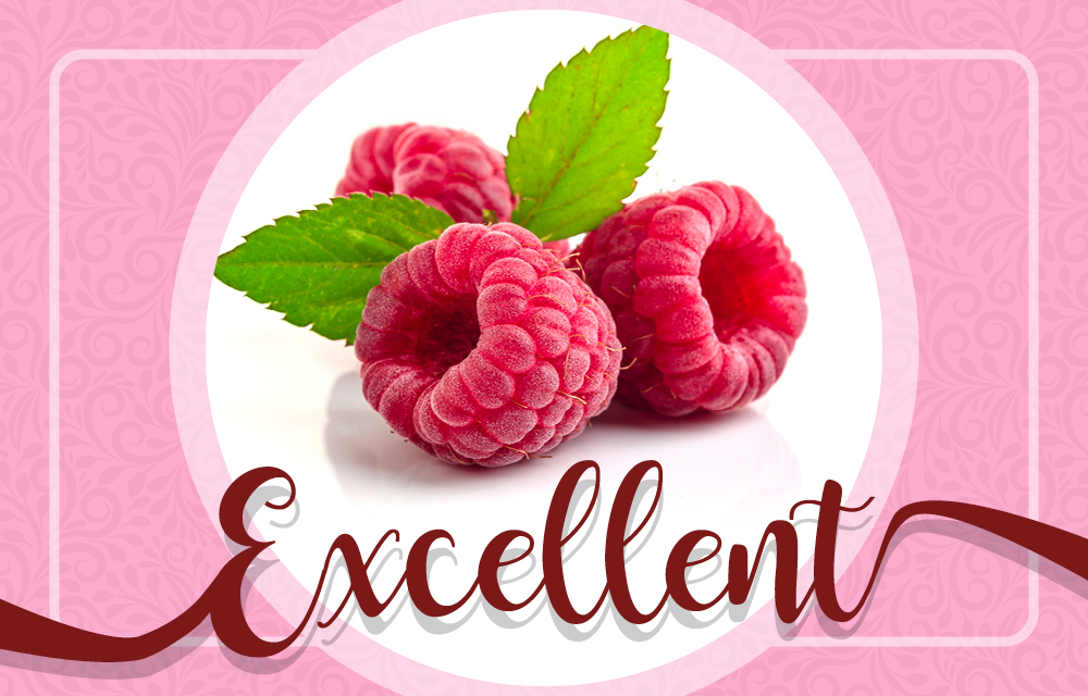 LaE Excellent Milchshake Sirup Himbeere