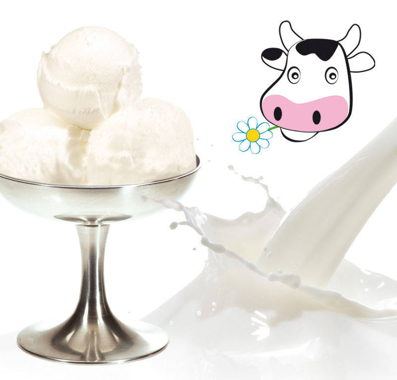 Pregel Sprint Buttermilch 10x1,2kg 